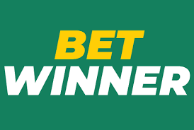 Discover the Excitement of Casino BetWinner 0 Discover the Excitement of Casino BetWinner 0